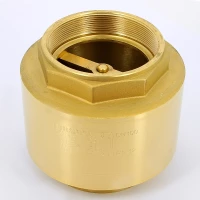 Клапан обратный пружинный с металлическим затвором 4