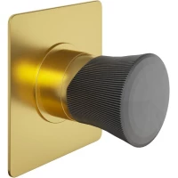 Смеситель для душа Paini Domus 18PJ690PZ