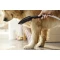 Душевая лейка для собак Hansgrohe DogShower 150 3jet 26640560 - 10
