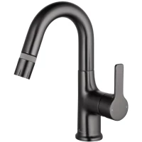 Смеситель для раковины Wonzon & Woghand WW-FE01L212-BGG с выдвижным изливом, темный графит матовый