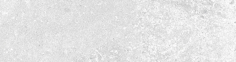 Клинкерная плитка Керамин Юта 1 светло-серый 24,5x6,5