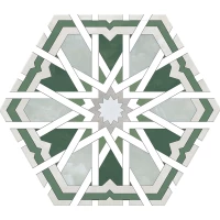 Керамогранит Radiant Green 20x24 