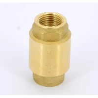 Клапан обратный пружинный с металлическим затвором 1/2