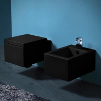 Унитаз подвесной Simas Frozen FZ18nero черный