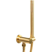 Душевой гарнитур Emmevi 154OT/ORS 1 режим, золотой матовый