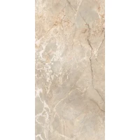 Керамогранит 6502 Silver Polished 60x120