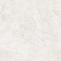 Керамогранит 45319 Mega Silver Carving 60x60