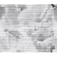 Панно Celia white 01 50x60