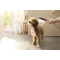 Душевая лейка для собак Hansgrohe DogShower 150 3jet 26640700 - 5