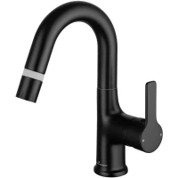 Смеситель для раковины Wonzon & Woghand WW-FE01L212-MB с выдвижным изливом, черный матовый