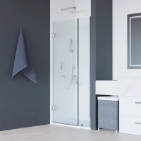 Душевая дверь 110 см RGW HO-012 Hotel 350601211-11 прозрачное 