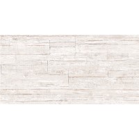 Плитка настенная Village Plate глянцевая 24,9x50