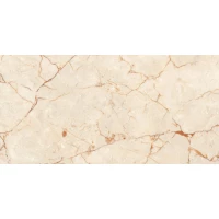 Керамогранит Rosalia Polished 60x120