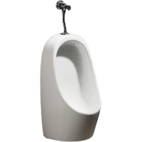 Писсуар CeramaLux X541P подвесной, наружный подвод воды, со смывным механизмом, белый