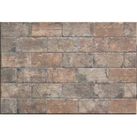 New York Chelsea  10x20