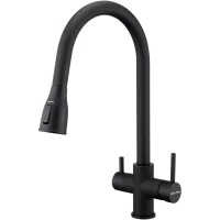 Смеситель для кухни Paulmark Lange La214212-AN с подключением к фильтру, выдвижным изливом, антрацит