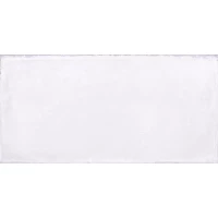 Керамогранит 88373 Crete Zirconio Matt 20x40