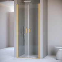 Душевая дверь 120 см RGW PA-104Gb Passage 060810412-16 прозрачное