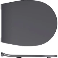 Сиденье для унитаза с микролифтом Allen Brau Reality 4.32007.AN