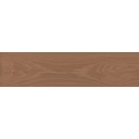 Керамогранит Аргания коричневый матовый 9,9x40,2