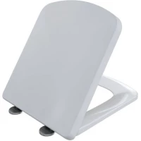 Сиденье для унитаза с микролифтом Allen Brau Liberty 4.33006.20