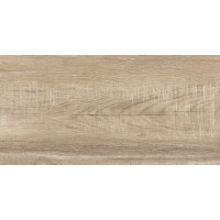 Плитка Euphoria TWU2550EPH40 24,9x50