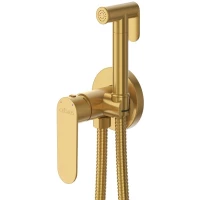 Гигиенический душ Cezares Stylus STYLUS-DIF-BORO со смесителем, золотой матовый