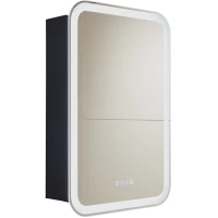 Зеркальный шкаф Silver Mirrors Фиджи LED-00002724 60x80 см R, с LED-подсветкой, сенсорным выключателем, диммером, часами, черный