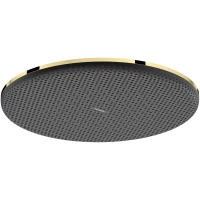 Верхний душ Hansgrohe Raindance Alive S 24521990 300 мм, золотой