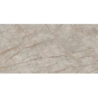 Керамогранит 610015000603 Empire Silver Root Lapp 80x160