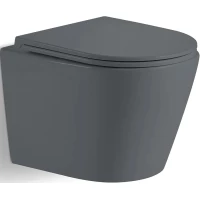 Унитаз подвесной River Michigan 520 MG 10000013707 безободковый, торнадо, с сиденьем микролифт, серый матовый