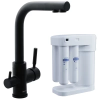 Смеситель для кухни с фильтром Swedbe Selene Plus K8149M