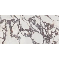 Керамогранит 46.869.0001.11342C Cr Lux Viola Pul. Rect. 60x120