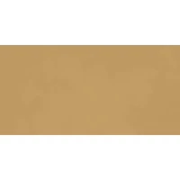 Керамогранит Ragno Decora Senape Rett 60x120 RA5D