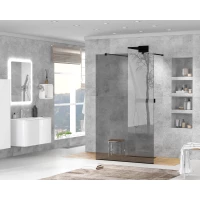 Неподвижная перегородка 100 см Cezares LIBERTA-L-2-100-GR-NERO графитовое