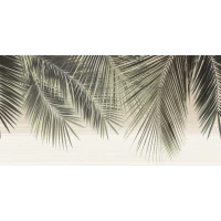 Декор Alma Ceramica DWU09DLM001 Del Mare 24,9x50