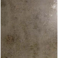 Керамогранит Ceracasa  Evolution RECT Gris 49,1x49,1