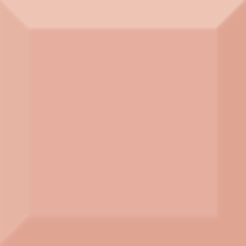 

Плитка Absolut Keramika Biselado Brillo Coral 10x10