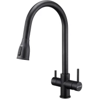 Смеситель для кухни Paulmark Lange La214212-BLM с подключением к фильтру, выдвижным изливом, черный металлик