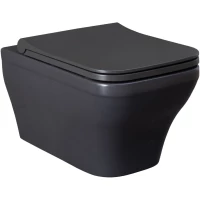 Унитаз подвесной Allen Brau Infinity 4.21011.AN безободковый, антрацит