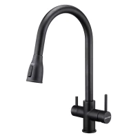 Смеситель для кухни с подключением к фильтру Paulmark Lange La214212-418