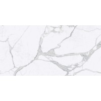 Керамогранит Statuario Naturale Ret. 60x120