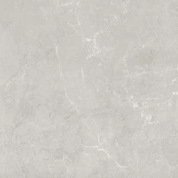 Керамогранит Сканди светло-серый обрезной SG645120R 59,5x59,5 матовый