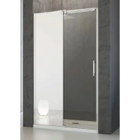 Душевая дверь Radaway Espera DWJ 120 L зеркальное