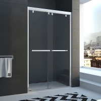 Душевая дверь 160 см Veconi Vianno VN49-160-01-19C1 прозрачное