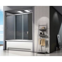 Шторка для ванны 120 см Good Door Screen WTW-120-C-CH прозрачное