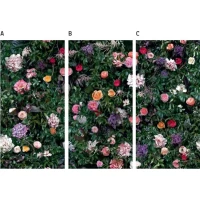 Керамогранит 4100993 William 60x120