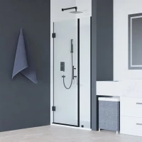 Душевая дверь 120 см RGW HO-012-B Hotel 350601212-14 прозрачное