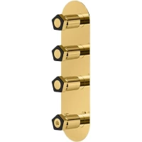 Термостат для ванны Newform Park Limited Edition  69803E.62.093 встраиваемый, золотой