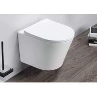 Унитаз подвесной GID Tr2130wm безободковый, с сиденьем микролифт, белый матовый